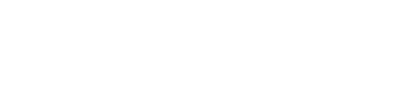 the tax team